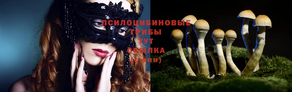 прущая мука Арсеньев