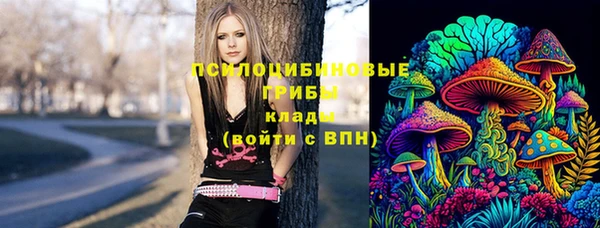 круглые Аркадак