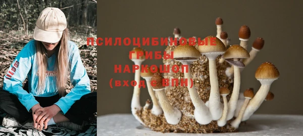 гидропоника Армянск